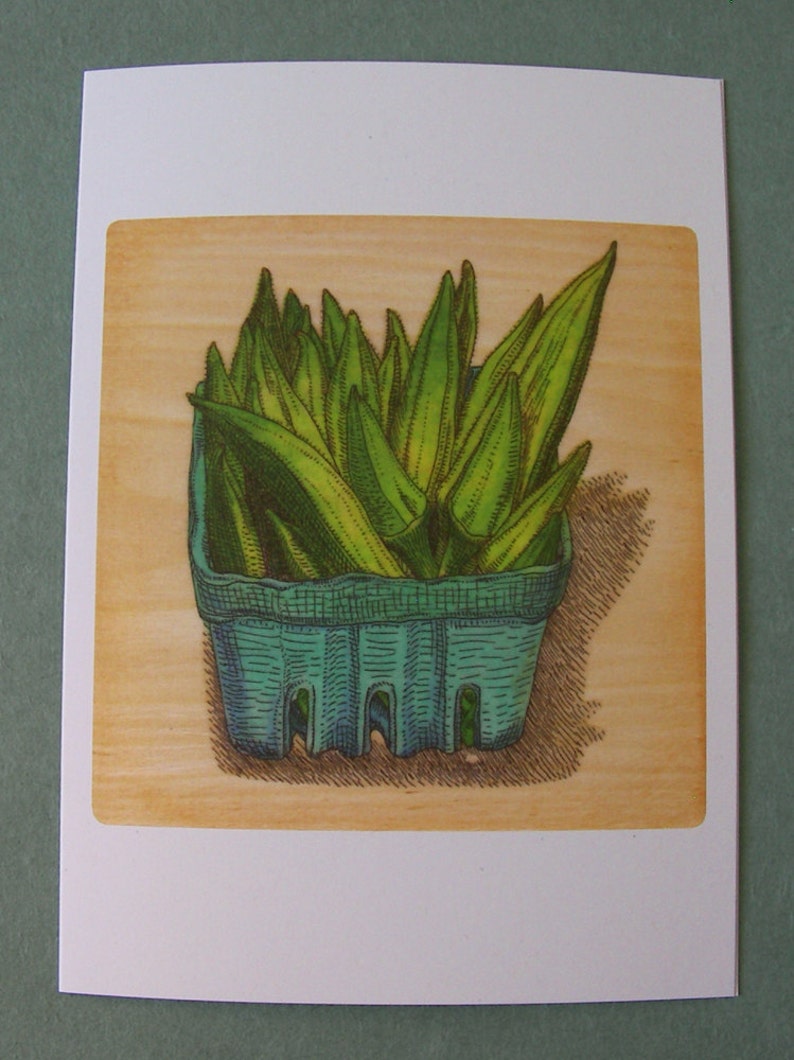 2 CARDS A009 OKRA / 5 x 7 Notecards / vegetable card / vegetable art / foodie / cooking gift / farmers market / food illustration / south image 2