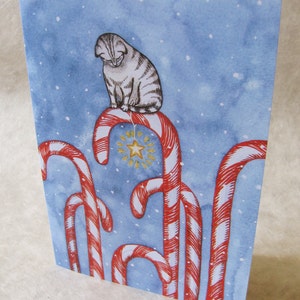 2 TARJETAS - A036 GATO BASTON DE CARAMELO / Tarjetas de notas de 5 x 7 / Tarjeta festiva / Tarjeta de Navidad / Tarjeta de invierno / Amante de los gatos / Nieve / Estacional / Acuarela