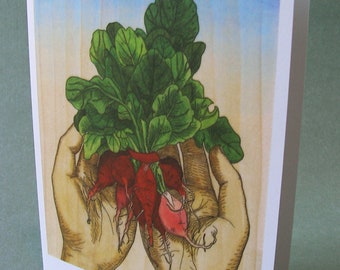 SALE! 2 CARDS - A007 Handful of RADISHES / 5 x 7 Notecards / vegetable card / vegetable art / foodie / chef gift / farmers market / radish