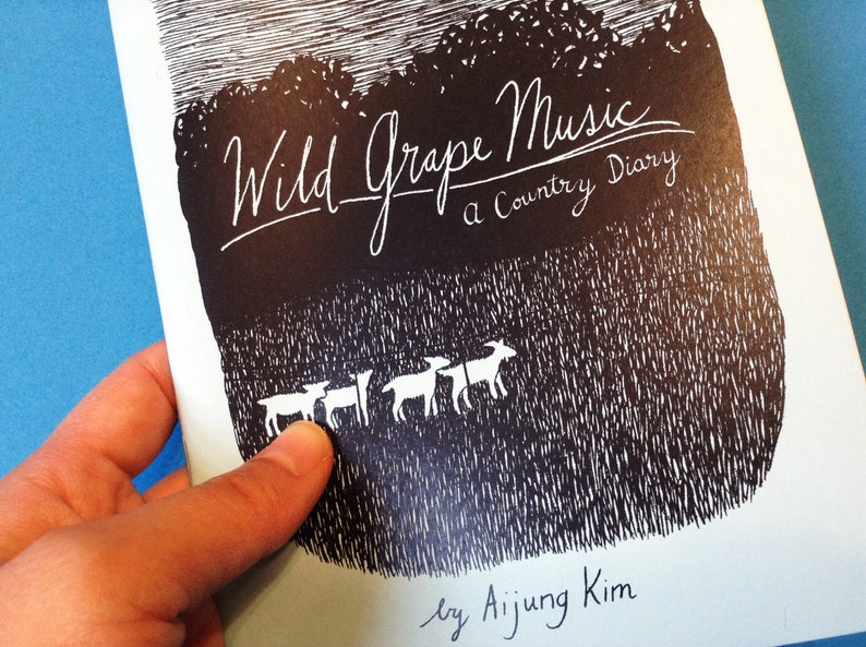 Zine Wild Grape Music / art zine / illustration zine / poetry zine / creativity zine / artist residency / community / horse / goat / skunk image 5