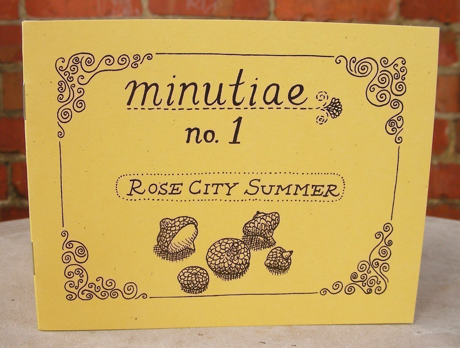 Zine "Minutiae No. 1: Rose City Summer" // Illustration zin…