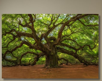 Angel Oak Tree Canvas,Angel Oak Print,Forest Wall Art,Living Room Decor,Home Decor,Christmas Gift,Life Tree,Mythology Art,Bedroom Decor-843