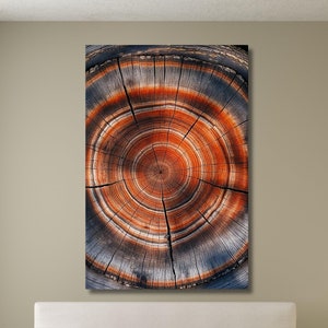 Colorful Tree Ring Canvas Wall Art,Wood Texture,Abstract Wood Crack Wall Decor,Elegant Natural Art,Bedroom Decor,Home Decor,Wood Poster-1053