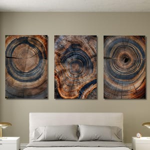 Set of 3 Tree Ring Canvas Wall Art,Wood Crack Wall Decor,Wood Texture Print,Elegant Natural Art,Bedroom Decor,Home Decor,Wood Ring Poster-1