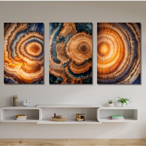 Set of 3 Colorful Tree Ring Canvas Wall Art,Wood Crack Decor,Wood Texture Art,Elegant Natural Art,Bedroom Decor,Home Decor,Wood Ring Poster2