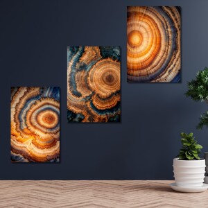 Set of 3 Colorful Tree Ring Canvas Wall Art,Wood Crack Decor,Wood Texture Art,Elegant Natural Art,Bedroom Decor,Home Decor,Wood Ring Poster2