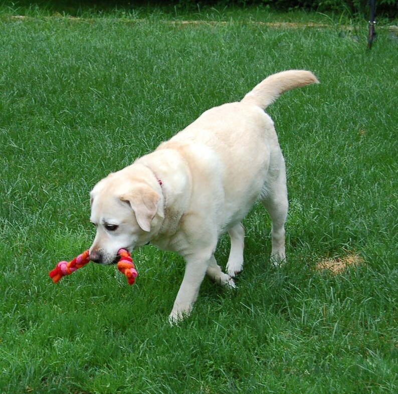 Rope Dog Toy Felted Wool All Natural Etsy