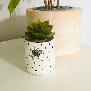 May include: A small white ceramic pot with black polka dots and a bee illustration. The pot holds a green succulent. A larger, light-coloured cylindrical planter with a tree is in the background.