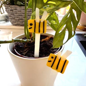 May include: Two yellow and black bee-shaped plant markers with white stems are inserted into a white potted plant. The markers have a cartoon-like design, with black stripes and white wings. The plant is a Monstera deliciosa.