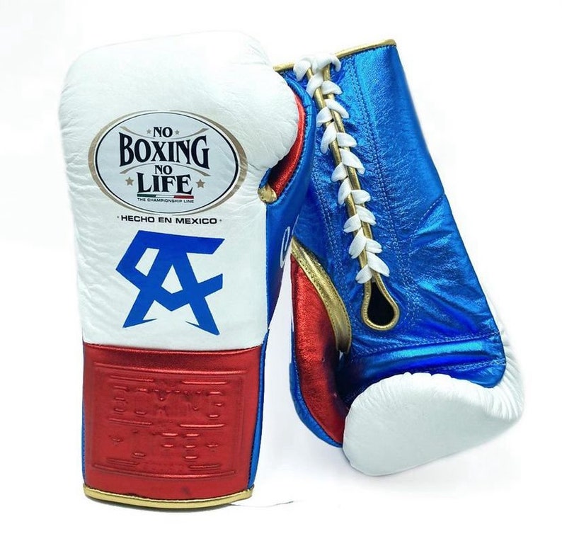 NBNL Boxing Gloves, No Boxing No Life Gloves, Canelo Edition Gloves