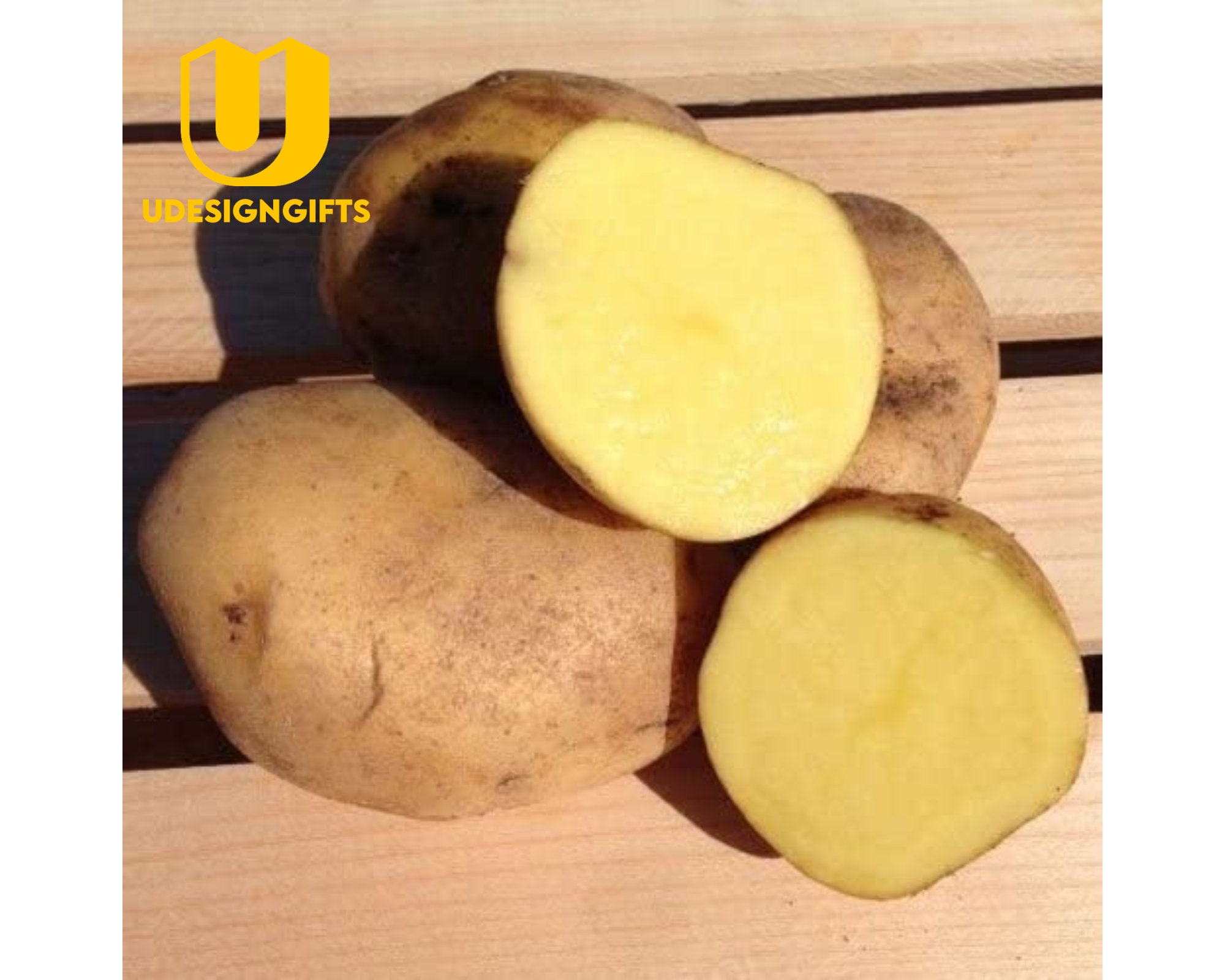 HATCHMATIC Germination Seeds: Yukon Live Organic Heirloom Vegetable Tubers 1 lb Seed Potatoes 