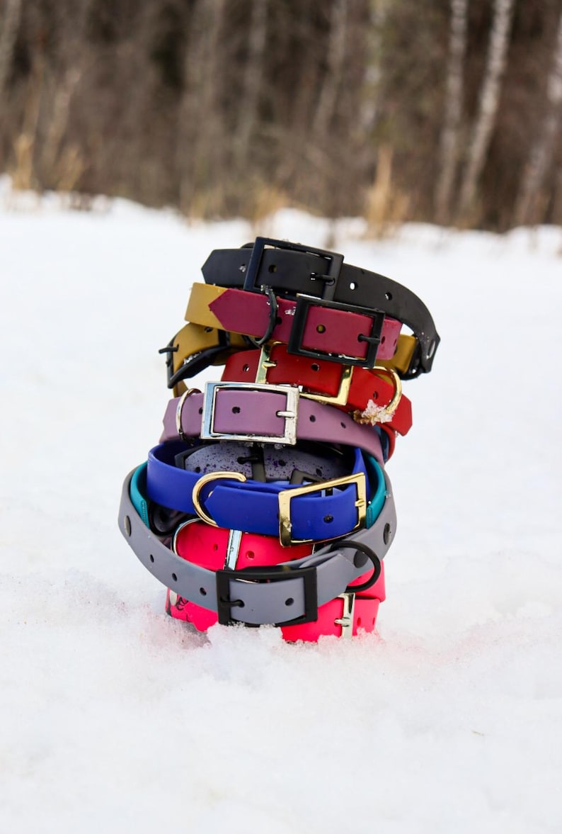 May include: A stack of colorful dog collars in various colors, including black, red, purple, blue, and gray. The collars are made of durable rubber and have metal buckles.