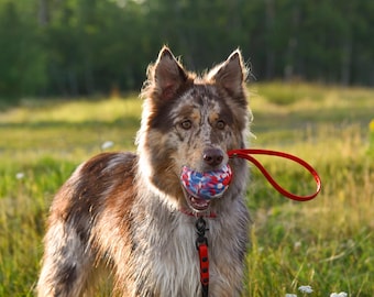 9cm Biothane EVA Foam Ball Tug