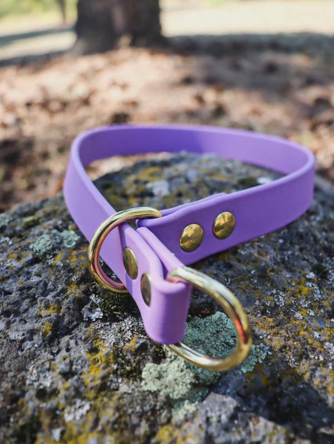 Biothane 1 Inch Slip Collar - Etsy