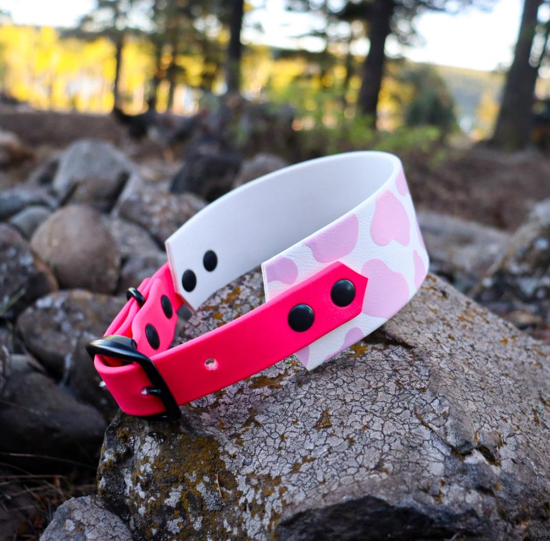 2 Inch Biothane Cow Collar - Etsy