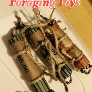 Foraging Toys - for Parrots, Rats, and Small Animals - Pack of 5