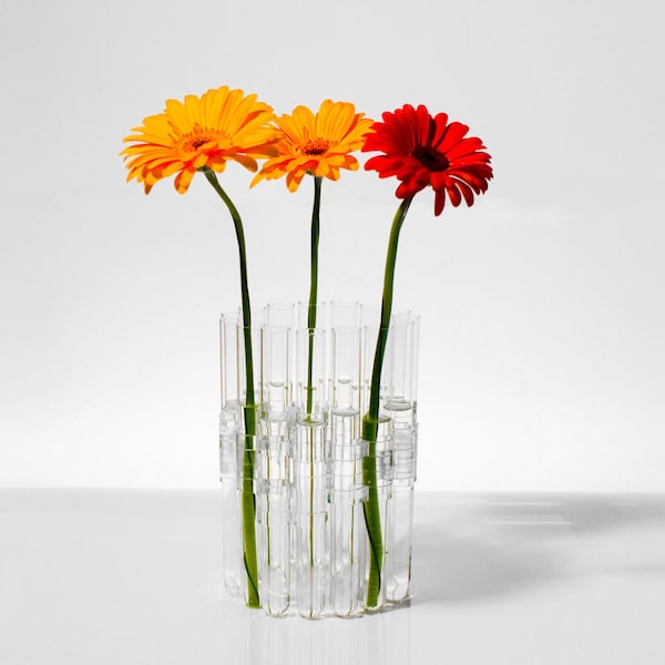 Vase Lilly - Blumenvase aus Reagenzgläsern