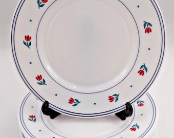 8 Arcopal France Salad Plates Floral Red Tulips Flowers Blue Bands on Rim 7-7/8"
