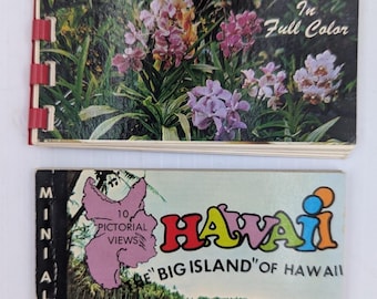 Vintage Hawaii Souvenir Mini Photo Book Lot of 2