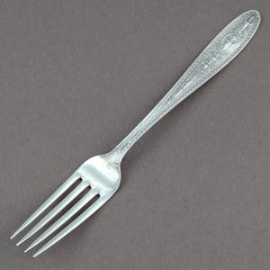 Wedgwood by International Sterling Silver Dinner Fork 7-1/4&quot; Long - One Fork