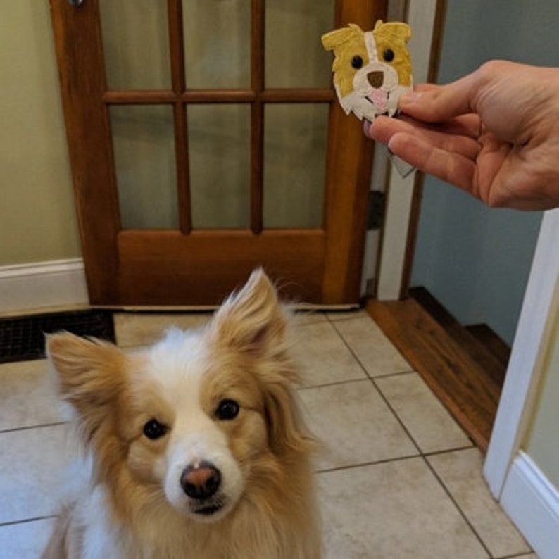 Border Collie,Australian Shepherd,Cattle dog,Dog, Badge Reel,Badge Card Holder,ID Holder,Nursing Badge Holder,Border Collie badge ID Holder Tan&white