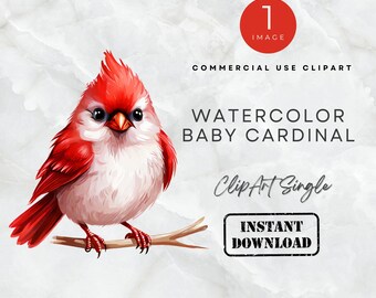 Lindo bebé cardenal Clipart Amarillo Acuarela Lindo bebé cardenal Clipart Animal Bebé Descarga Digital Instantánea 300DPI Uso Comercial