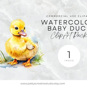 Cute Yellow Baby Duck 1 Image Clipart Yellow Watercolor Cute Baby Duck Clipart Baby Animal Instant Digital Download 300DPI Commercial Use