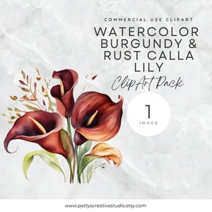 Flor de Calla Borgonha e Ferrugem 1 Imagem Clipart Calla Lily Aquarela Floral Clipart Romântico Instantâneo Digital Download Uso Comercial