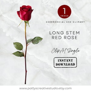 May include: A single, long-stemmed red rose with green leaves against a marble background. The image includes text that reads "LONG STEM RED ROSE" and "INSTANT DOWNLOAD". The rose is a commercial use clipart.