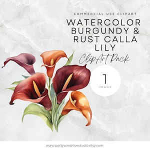 Flor de Calla Borgonha e Ferrugem 1 Imagem Clipart Calla Lily Aquarela Floral Clipart Romântico Instantâneo Digital Download Uso Comercial
