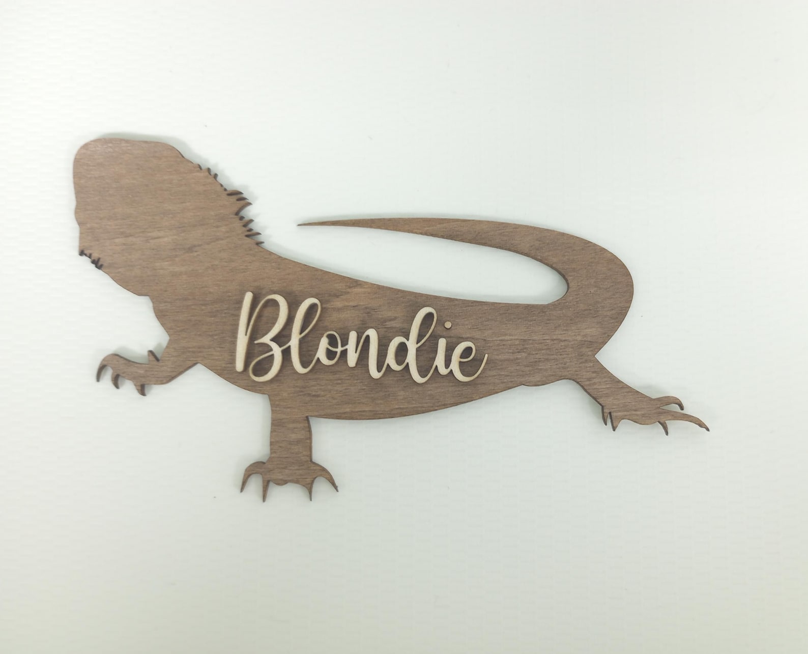 Custom Bearded Dragon Sign for Enclosure Personalized Bearded Dragon ...