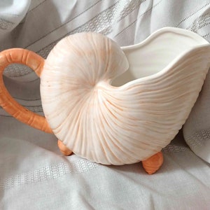 May include: A white ceramic seashell planter with an orange handle. The planter has a textured, ribbed surface and three small feet.