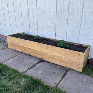 Op de afbeelding: Een verhoogd houten plantenbak met twee rijen planten die erin groeien. De bak is gemaakt van natuurlijk hout en staat op een betonnen terras.