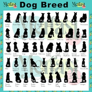 May include: A chart featuring silhouettes of 50 different dog breeds, each labelled with its name. The chart is set against a light blue background with a white border.
