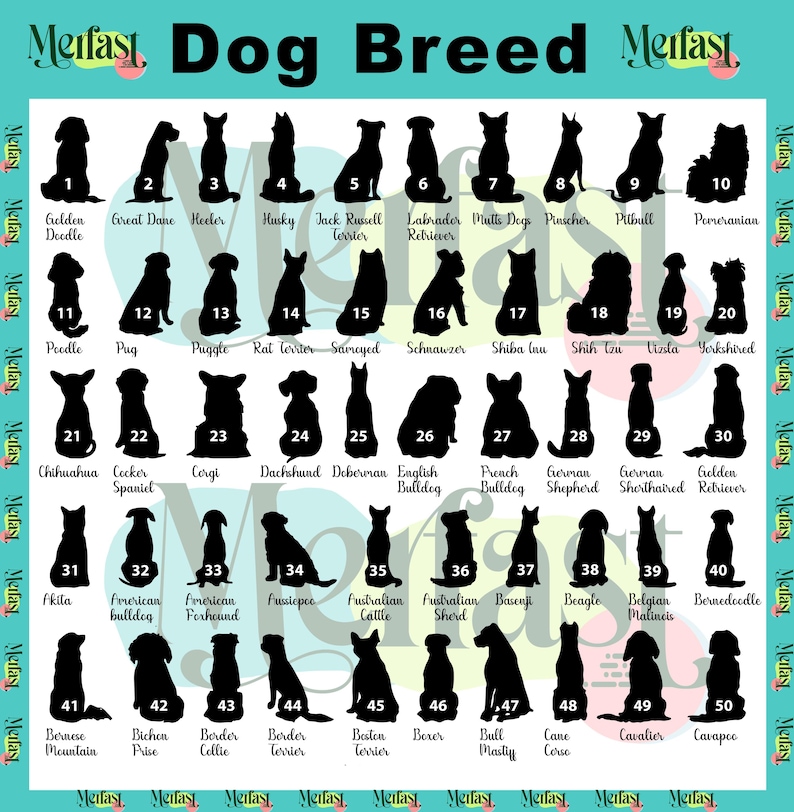 May include: A chart featuring silhouettes of 50 different dog breeds, each labelled with its name. The chart is set against a light blue background with a white border.