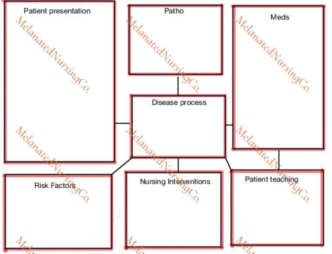Nursing Concept Map Template Etsy