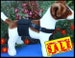 HAPPY JACK WRAP - Male Dog Diaper with Nonslip Adjustable Chest Strap 