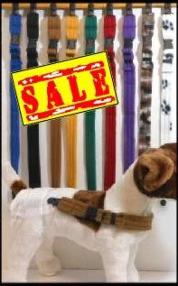 male dog wrap with suspenders