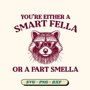 Are You A Smart Fella Or Fart Smella SVG, Retro Trash Panda Svg, Funny Raccoon Meme Shirt, Fart Smella Svg, Smart Fella (9 version included)