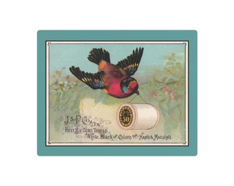 Red Bird Carrying Spool of J&P Coats Thread on Teal - Metal Art Print 11 x 14