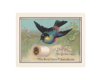 Blue Bird Carrying Spool of J&P Coats Thread on Cream - Metal Art Print 8x10 or 11 x 14