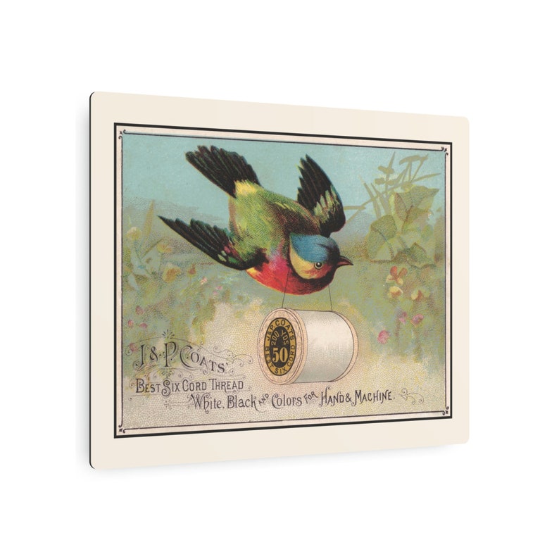 Green Bird Carrying Spool of J&P Coats Thread on Cream Metal Art Print 11 x 14 image 3