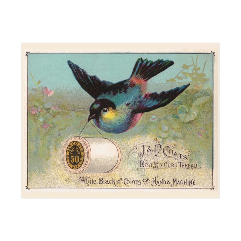 Blue Bird Carrying J&P Coats Thread Spool Antique Reproduction Print on Fine Art Paper in Multiple Sizes image 5