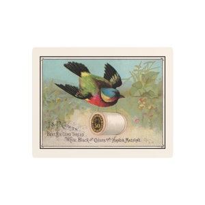 Green Bird Carrying Spool of J&P Coats Thread on Cream Metal Art Print 11 x 14 image 1