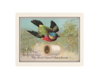 Green Bird Carrying Spool of J&P Coats Thread on Cream - Metal Art Print 11 x 14