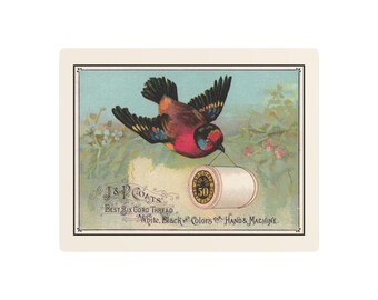 Red Bird Carrying Spool of J&P Coats Thread on Cream - Metal Art Print 11 x 14