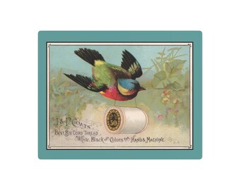 Green Bird Carrying Spool of J&P Coats Thread on Teal - Metal Art Print 11 x 14