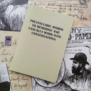 Pocket Notebook- Polysyllabic Words To Memorise And Casually Work Into Conversations