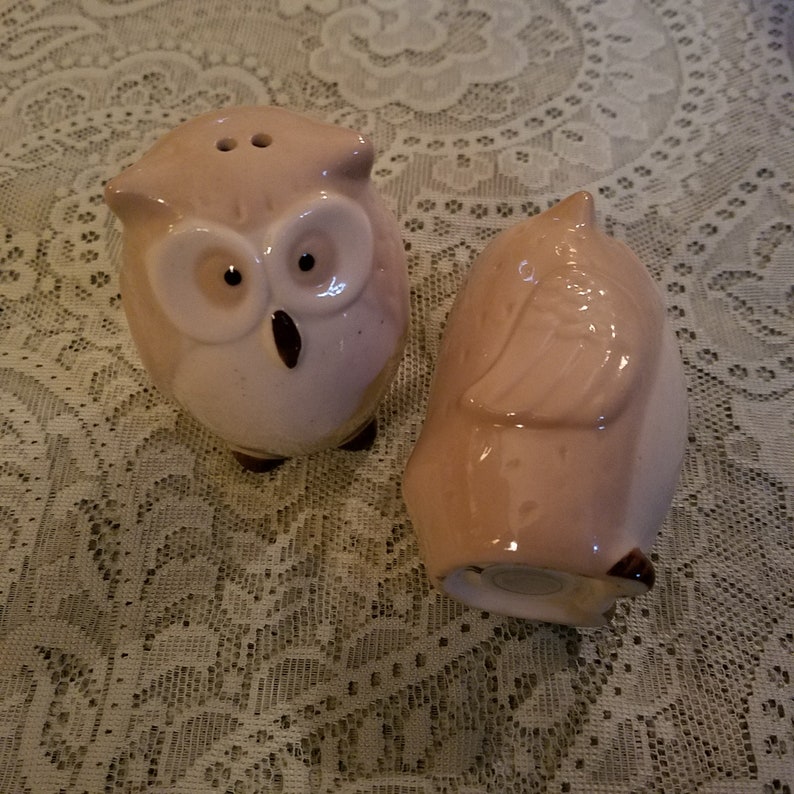 Vintage Owl Salt /& Pepper Shakers Kitchen Decor Retro Kitsch