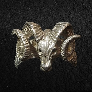 Men's Aries Zodiac Ring - 925 Sterling Silver Ram Head Band Ring For Birthdays & Symbolic Gifts (Size 13)
